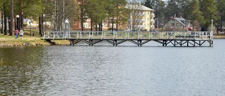 Tyskt företag sneglar på Arvidsjaur