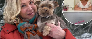 Har drivit skönhetssalong i Luleå under nio år • Nu ska Annica, 56, förverkliga en gammal dröm: "Hållit utkik länge"
