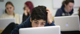 Den svenska skolan i fritt fall
