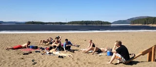 Sommar ovanligt tidigt i Norrbottens inland