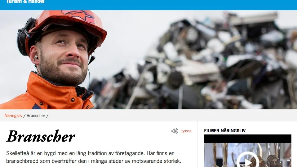 Förslagsställaren tycker att näringslivssidan fokuserar på traditionellt manliga yrken.