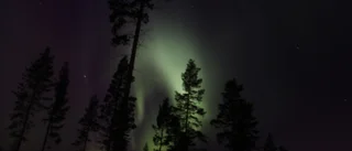 Bilder från nattens norrsken