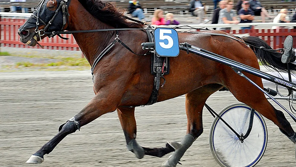 Skelleftetravets Manstone's Classic vann ett sprinterlopp på Bergsåker ikväll.