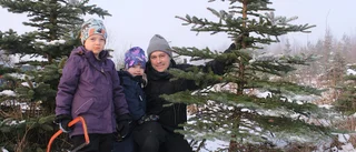 De hittade den perfekta kungsgranen: "Det är kul att hugga själv"