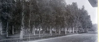 Skellefteå C - okänt årtal