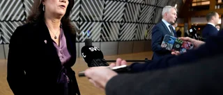 EU fördömer Ryssland: Trappa ned!