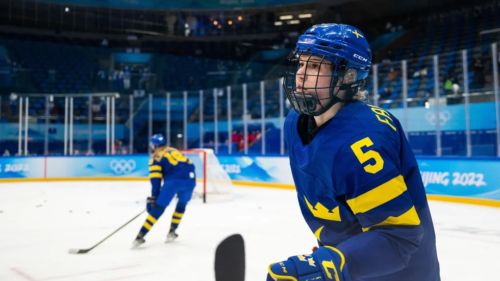 Johanna Fällman tvingades kliva av i matchen mot Tjeckien med befarad svår knäskada.