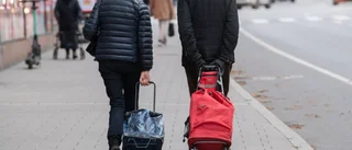 Pensionärernas år, men inte tack vare regeringen