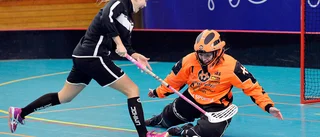 Karlsson ger kommentar om Skelleftelirarna