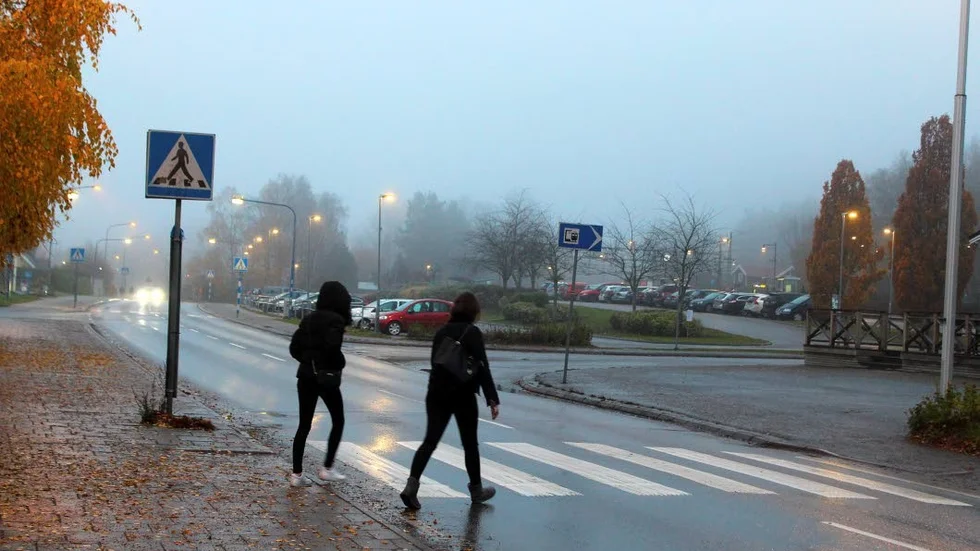 Nu på hösten är det lugn trafiksituation i Krokek, men på sommaren har man extremt långa bilköer till djurparken.