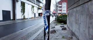Begärs häktad för mordförsök