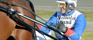Voulez Vous visade att han är en häst för V75
