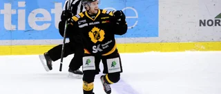 Skellefteå AIK om backtalangen: ”En kille vi tror stenhårt på”