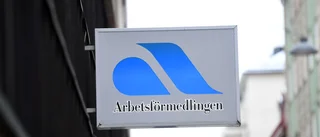 Joakim Broman: Alliansen har lärt sig läxan