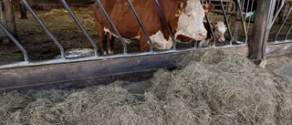 Lokal matproduktion hotas i Östergötland