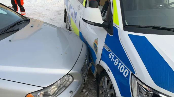 En kvinna döms till skyddstillsyn bland annat efter att ha kört på en polisbil.