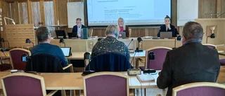 Efter kritiken – Kalix avbryter samarbetet med skolkonsulten