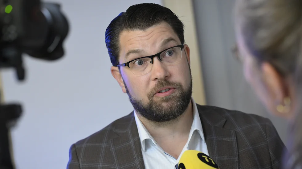 Gängvåldet är "100 procent" migrationens fel, enligt SD-ledaren.