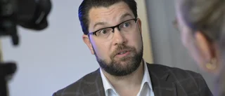 SD: Undersök om militär kan stötta polisen