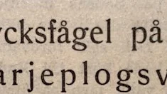 PT den 21 september 1948.