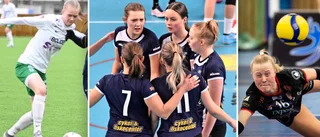 ”Jag tycker att vi förtjänar ett SM-guld igen”