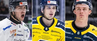 Allsvenska experten synar värvningarna: "Det är hans chans"
