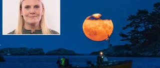 Superfullmåne över Gotland ikväll – men kommer den att synas?