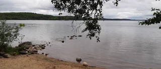 Läsarbilden: Kärleksstigen    