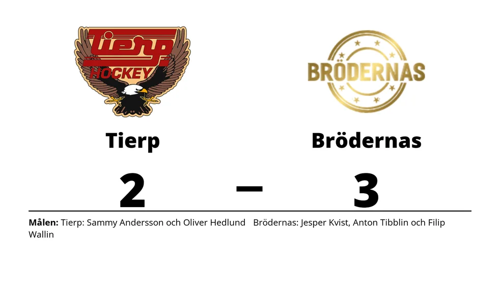 Tierps HK förlorade mot Brödernas Hockey