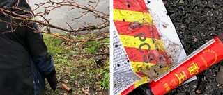 Polisen varnar sedan ungdomar skjutit vilt på flera ställen