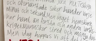 VILL HA FRED                        
