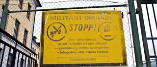 Militär fångade inbrottstjuv på I 19