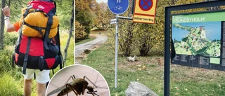 Skolans årliga utflykt stoppas – av myggen