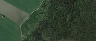 Ny ägare till gård i Simtuna