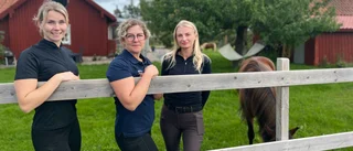 Hon brinner för hästar – "Hann med ridlektion på väg hem från BB"