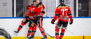 Vild glädje – efter Luleå Hockeys avancemang: "Vi bara vrålade"