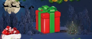Här är storvinnaren i vår julkalender 