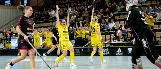 REPRIS: Så var Endres storseger mot Malmö 
