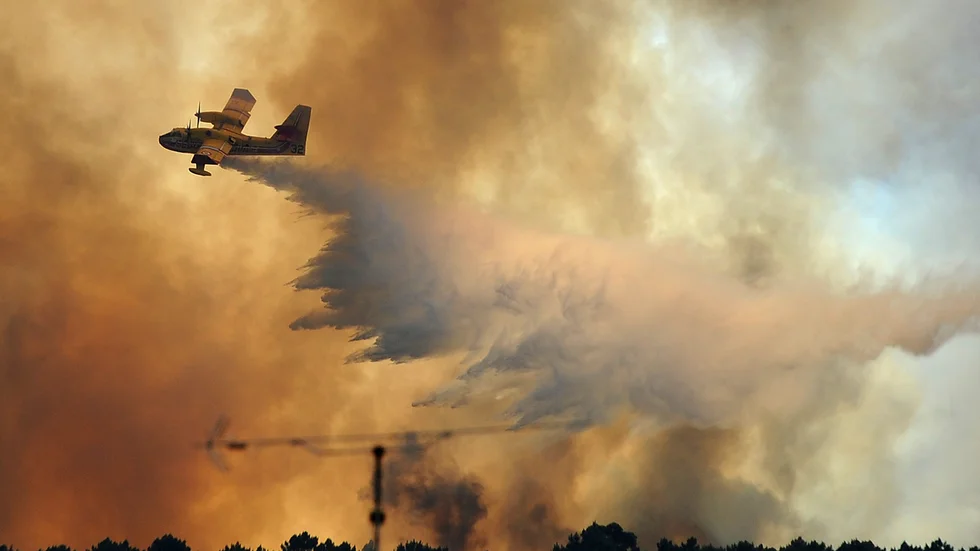 Den stora skogsbranden i Portugal 2017 fick en grupp barn och ungdomar att vilja stämma en rad europeiska länder för bristande klimatåtgärder. Arkivbild.