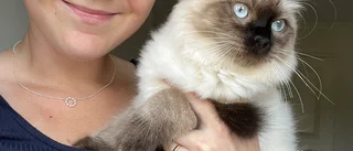 Amanda, 28, förlorade kampen mot sjukdomen