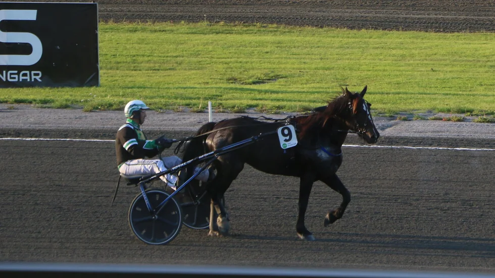 4-åriga Sonja Kiro noterade svenskt rekord i sin åldersklass när hon spurtade hem V5-3 i händerna på Stefan Johansson. 1,25,6. Jerker Bjurman tränar.