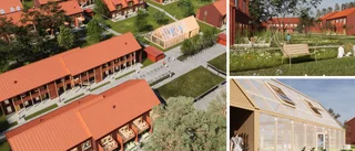 SKISSER: Klart med rivningslov – så blir nya kvarteret på Gråbo