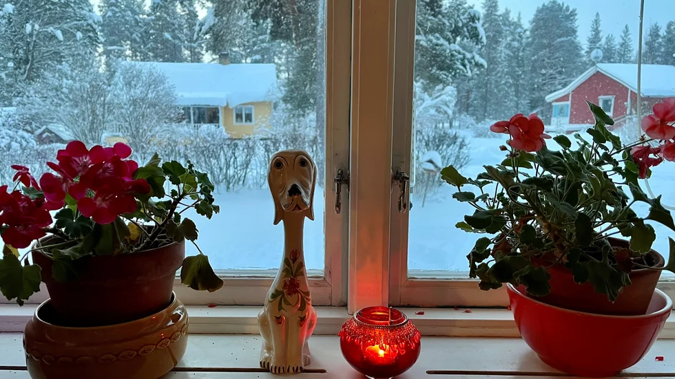 Dagens bild.