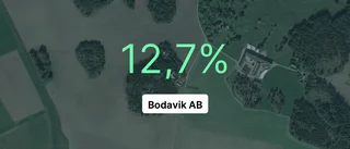 Bodavik AB: Här är de viktigaste siffrorna från 2022