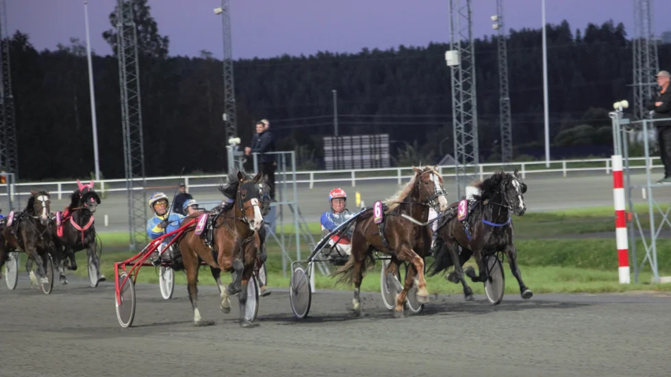 Lia Stubin (Krister Söderholm) plockar ned storfavoriten Sjöli Morten och ledande Ior Express i spurten i V4-3 på Bodentravet.