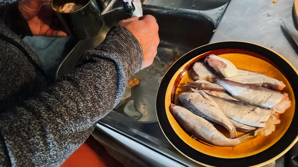 "Övergödning och överfiske gör att både strömmingen, sillen och ålen är på väg att utrotas".