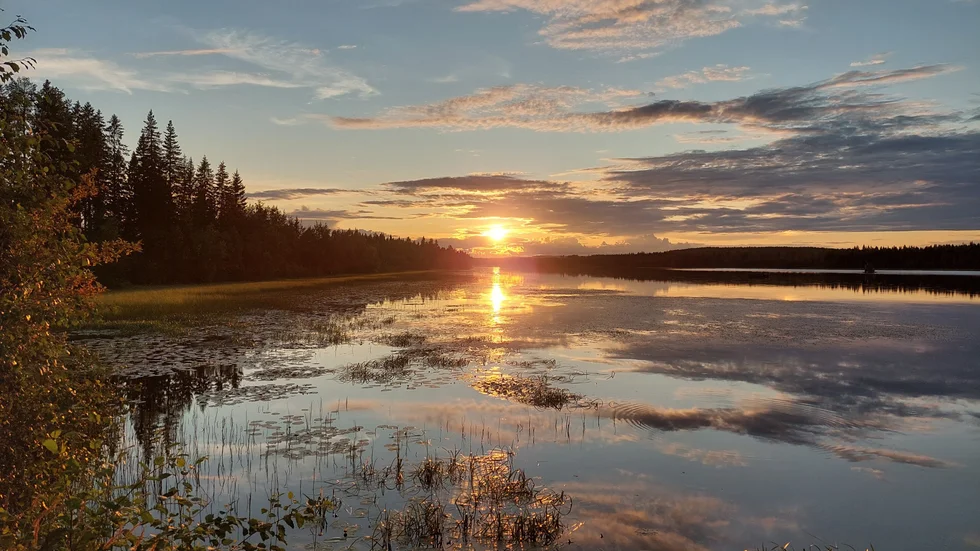 Dagens läsarbild.