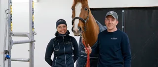 Malin och Gustav är fullkomligt galna i hästar 