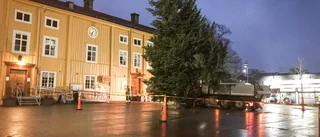 Snart har alla fått sina julgranar