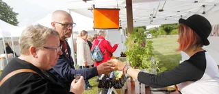 Fjärdhundraland blir värd för matmarknaden